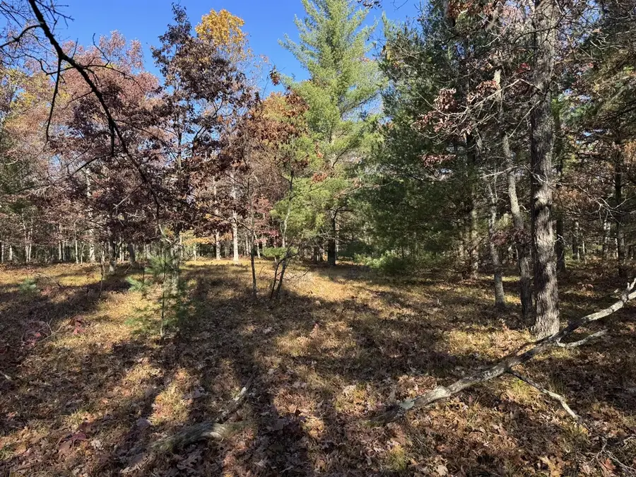 Parcel 6 County Line, Free Soil, MI 49411 - #3