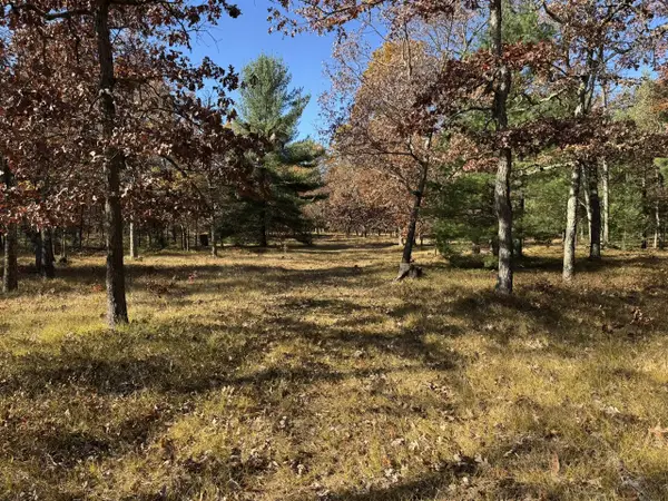 Parcel 8 County Line, Free Soil, MI 49411