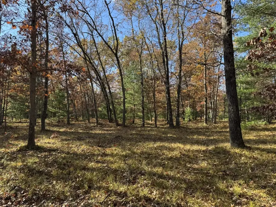Parcel 8 County Line, Free Soil, MI 49411 - #3