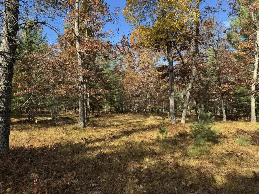 Parcel 12 County Line, Free Soil, MI 49411 - #3