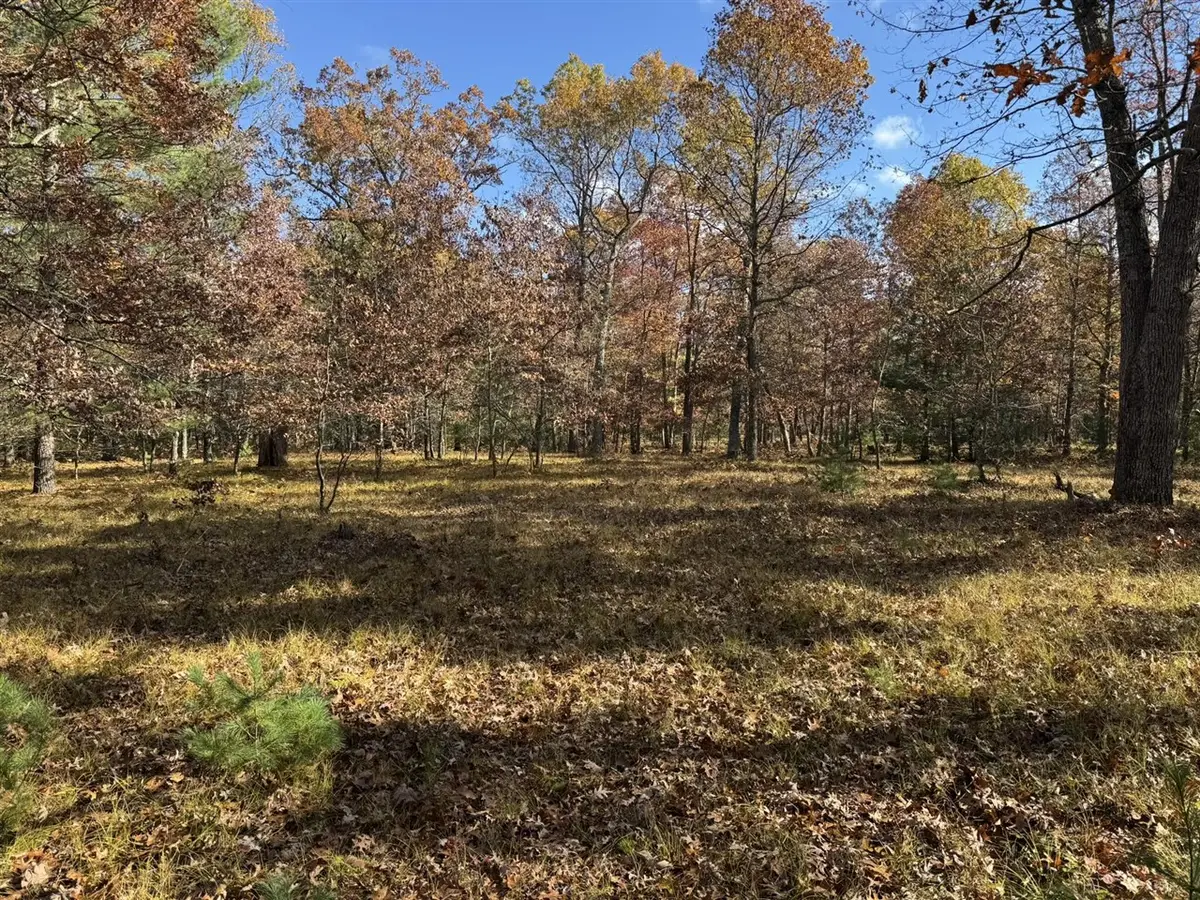 Parcel 11 County Line, Free Soil, MI 49411 - #1