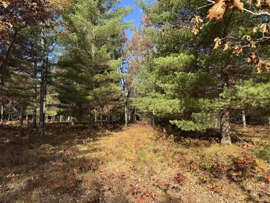 Parcel 13 County Line, Free Soil, MI 49411 - #3