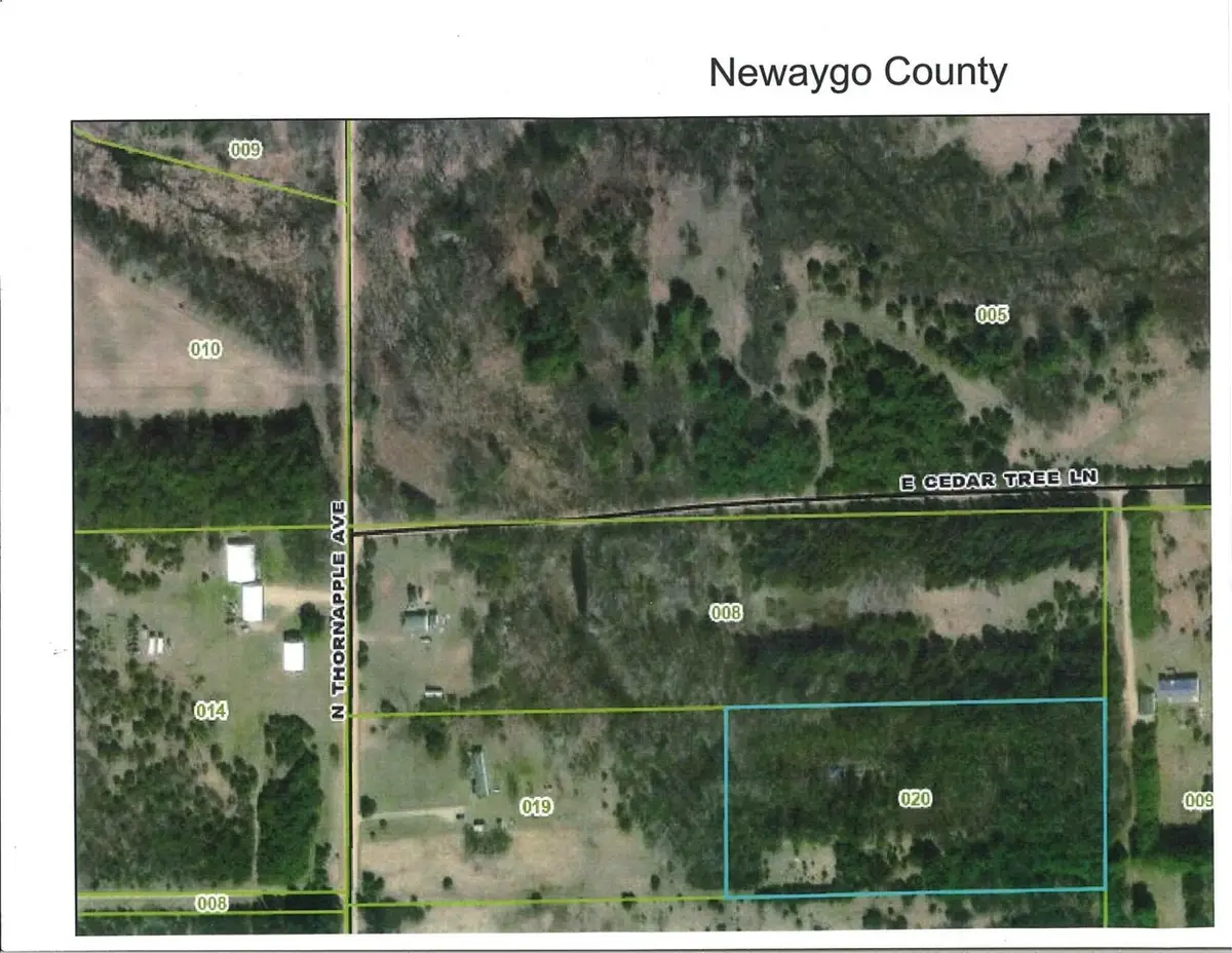 1138 N Thornapple, White Cloud, MI 49349 - #1