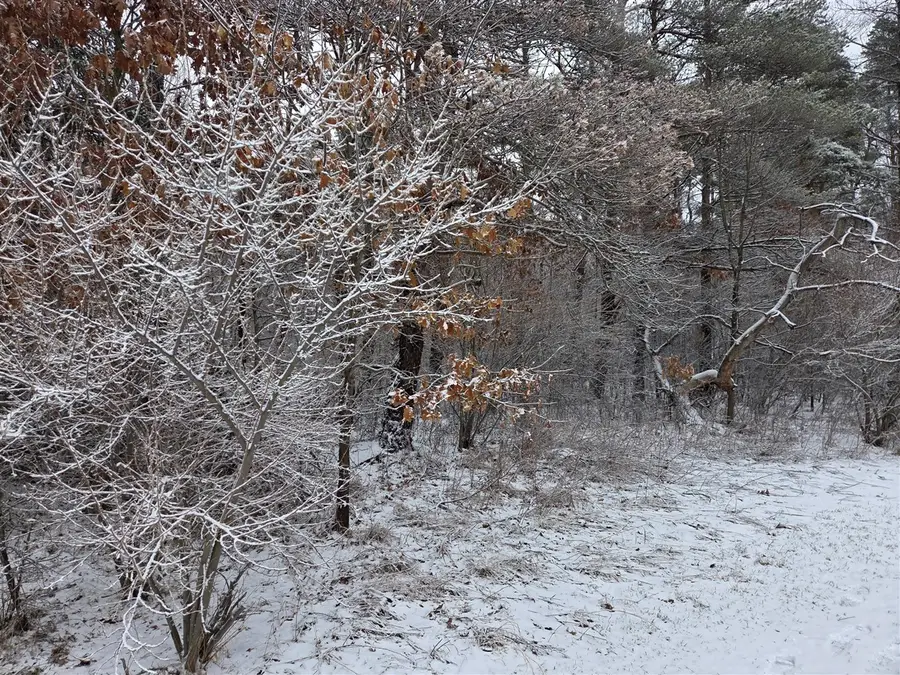 1138 N Thornapple, White Cloud, MI 49349 - #3