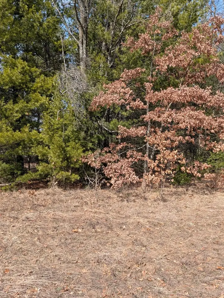 130 Us 10, Idlewild, MI 49642 - #2
