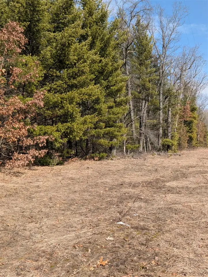130 Us 10, Idlewild, MI 49642 - #3