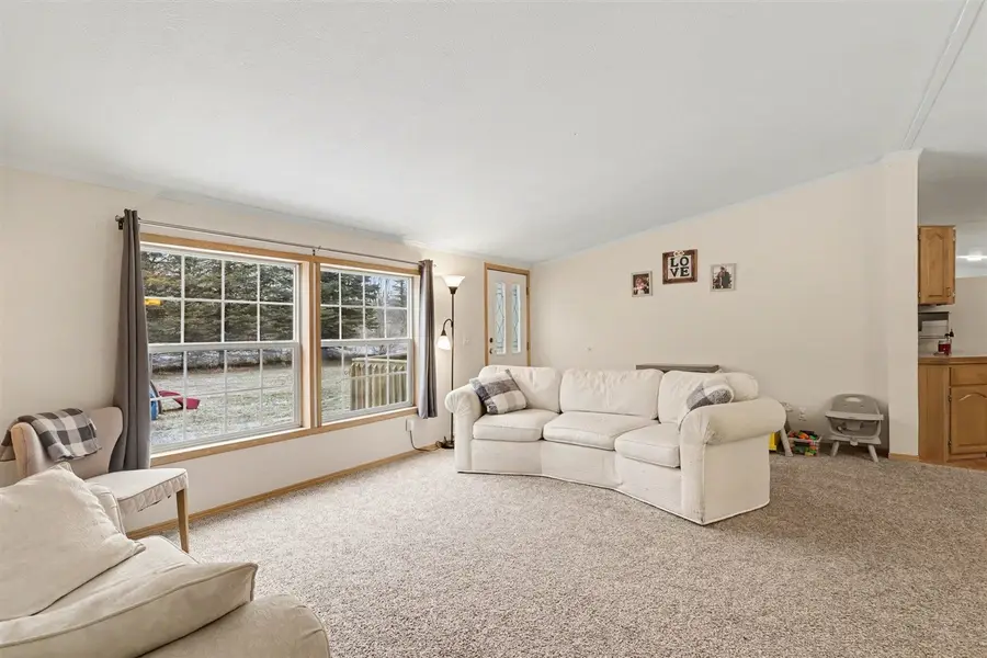 14855 Larsen, Gowen, MI 49326 - #2