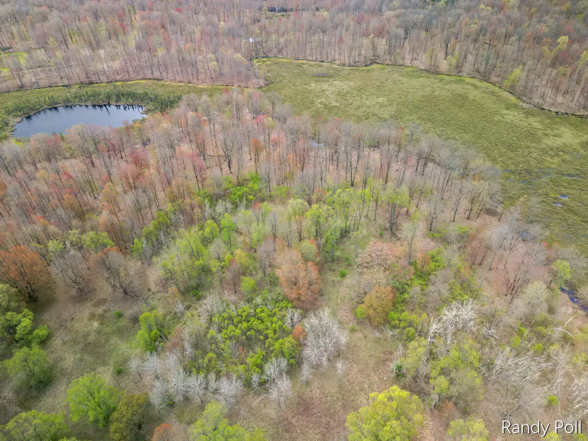 2 Mile, Evart, MI 49631 - #1