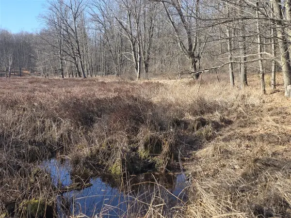 2 Mile, Evart, MI 49631