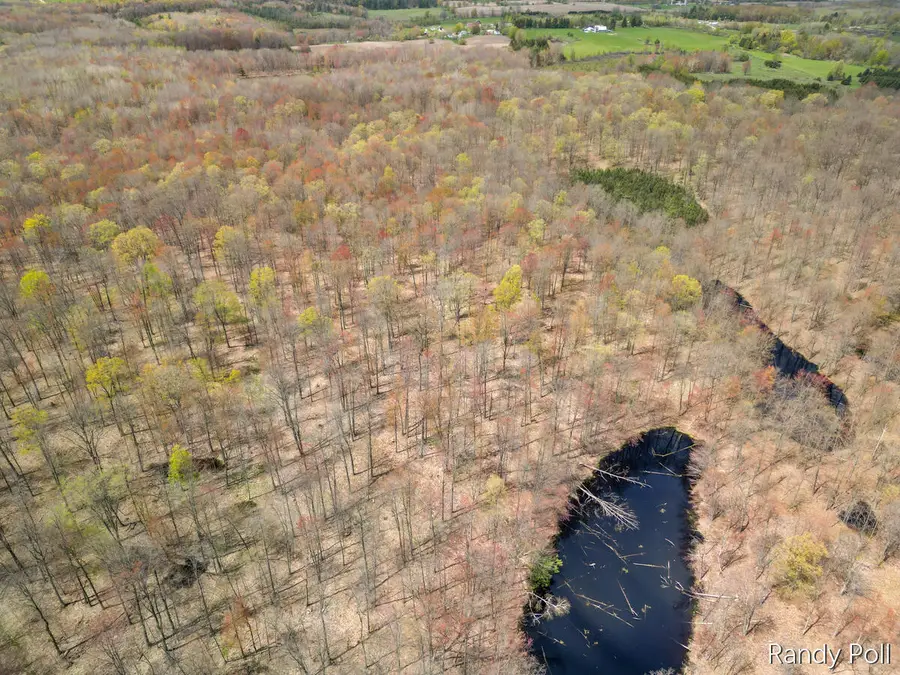 2 Mile, Evart, MI 49631 - #3