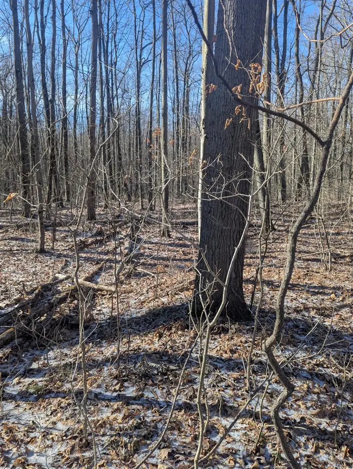 00 East, Albee, MI 48457 - #3