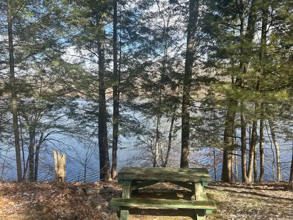 8786 N Island, Canadian Lakes, MI 49346