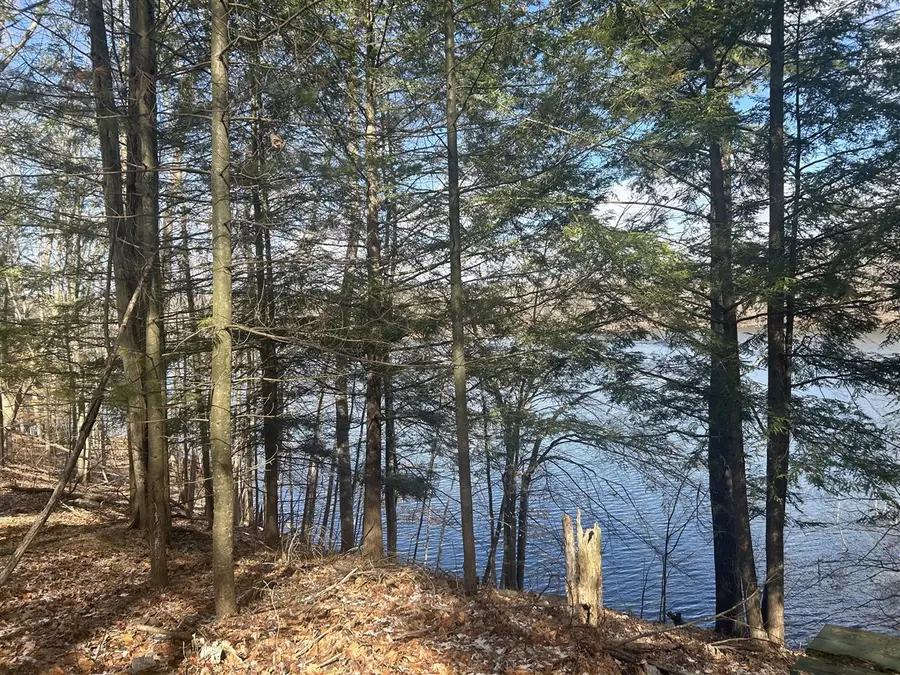 8786 N Island, Canadian Lakes, MI 49346 - #3