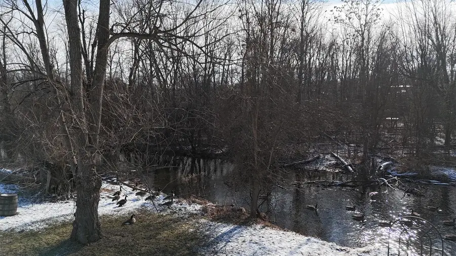 7525 Huron River, Dexter, MI 48130 - #2