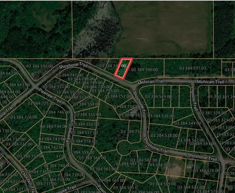 Shoshone, Evart, MI 49631 - #2