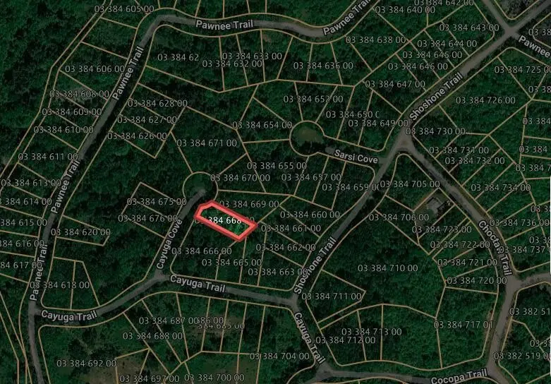 Cayuga, Evart, MI 49631 - #2