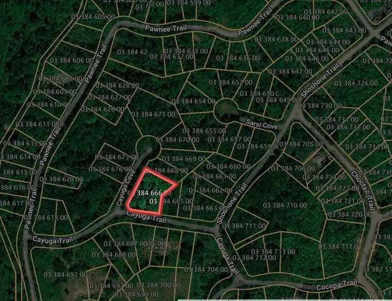 Cayuga, Evart, MI 49631 - #2