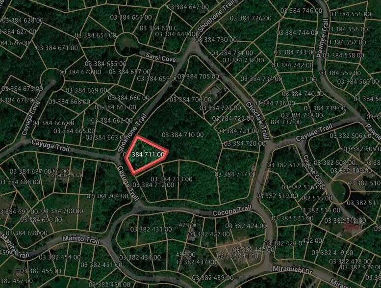 Coyuga/shoshone, Evart, MI 49631 - #2