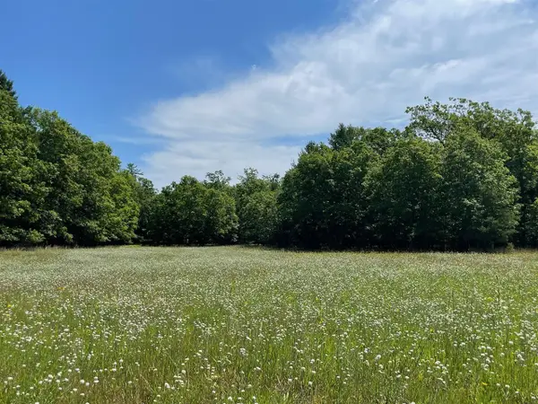 10652 N River, Irons, MI 49644