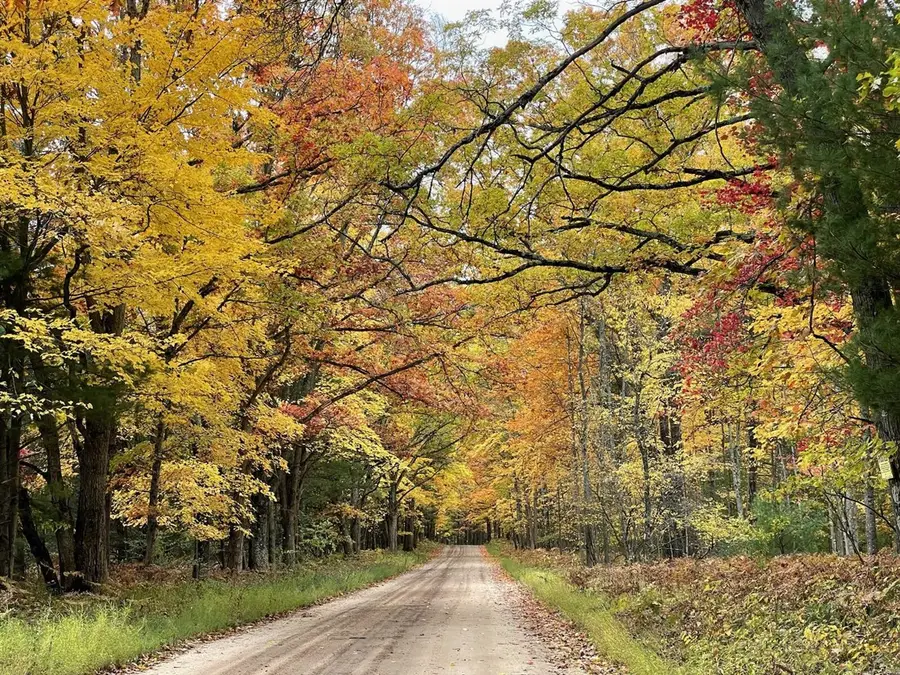 10652 N River, Irons, MI 49644 - #3