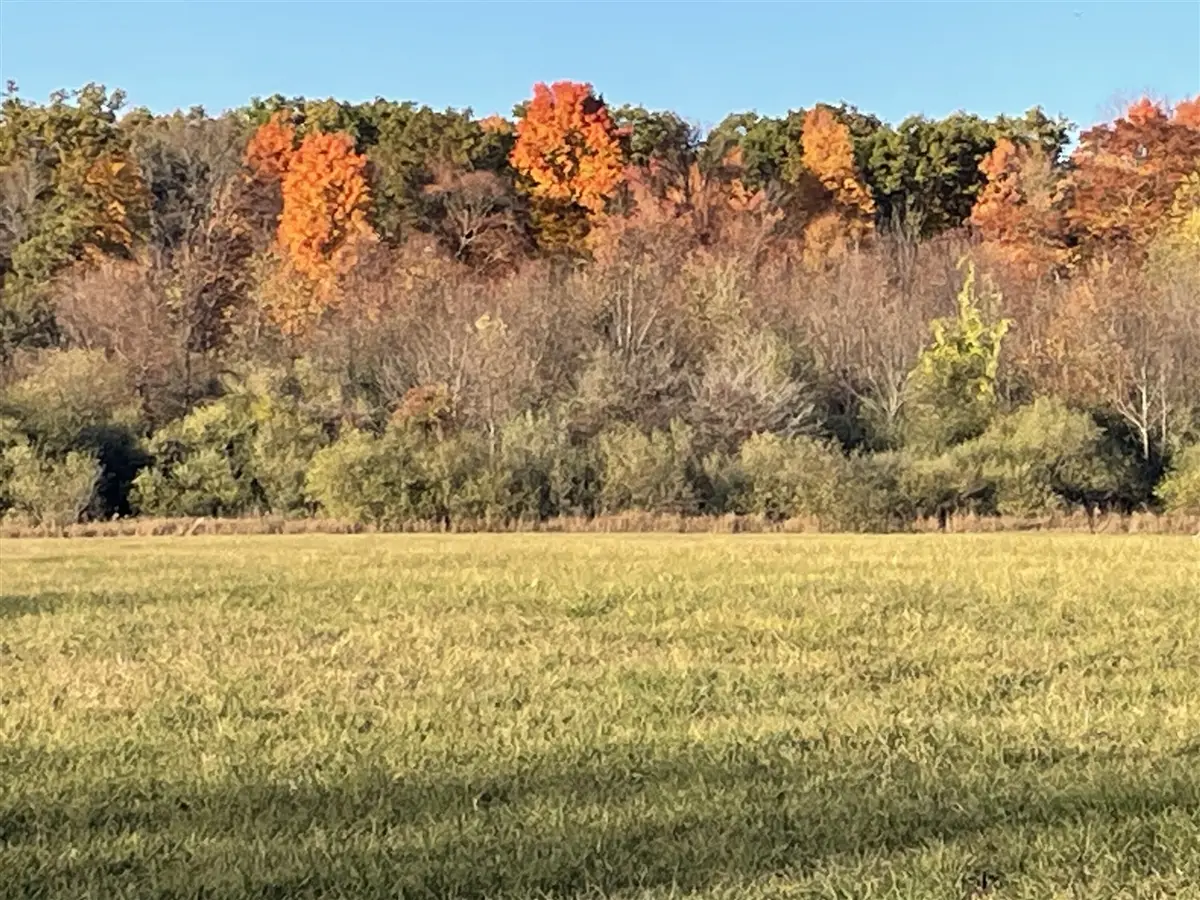 000 VL N Cottonwood, Big Rapids, MI 49307 - #1