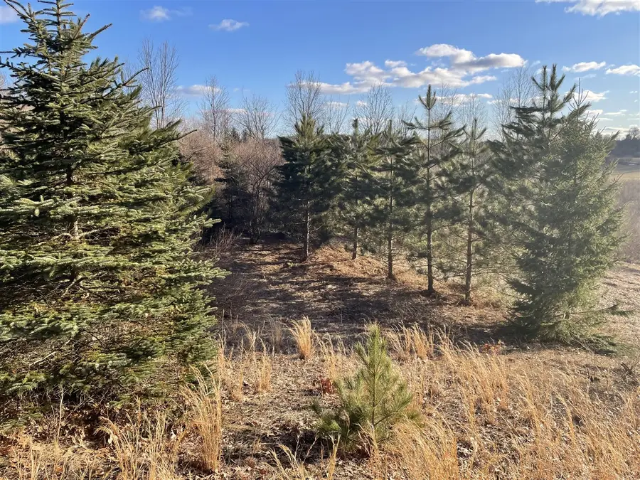 000 VL N Cottonwood, Big Rapids, MI 49307 - #2