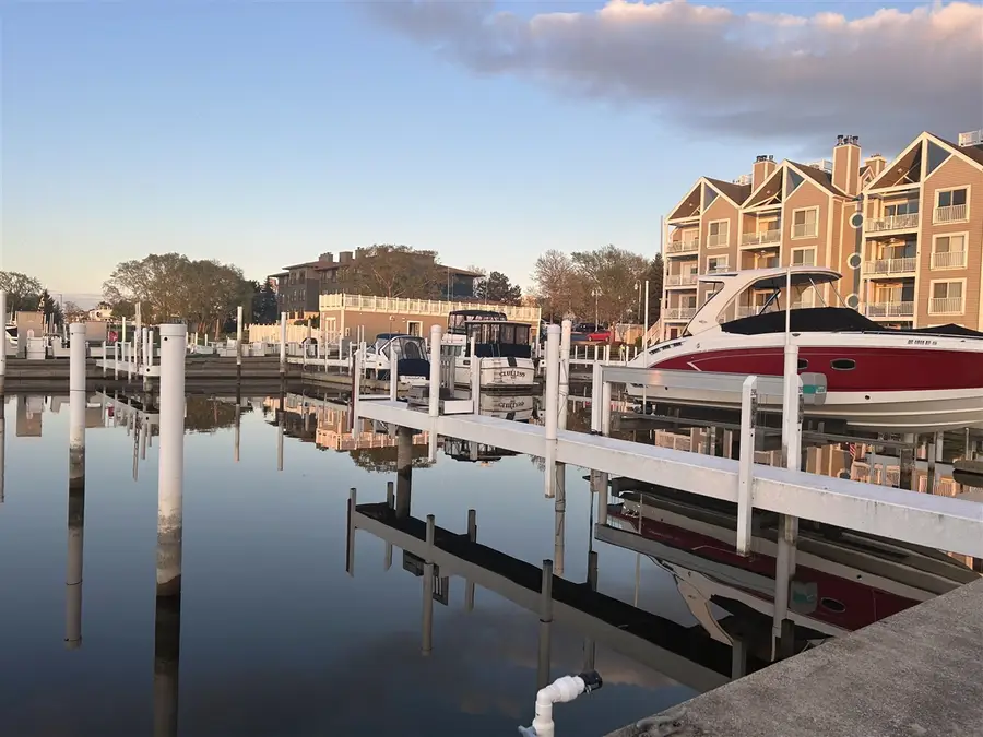 298 Peninsula D, New Buffalo, MI 49117 - #3