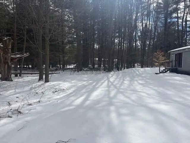 8404 Independence, Cadillac, MI 49601 - #3