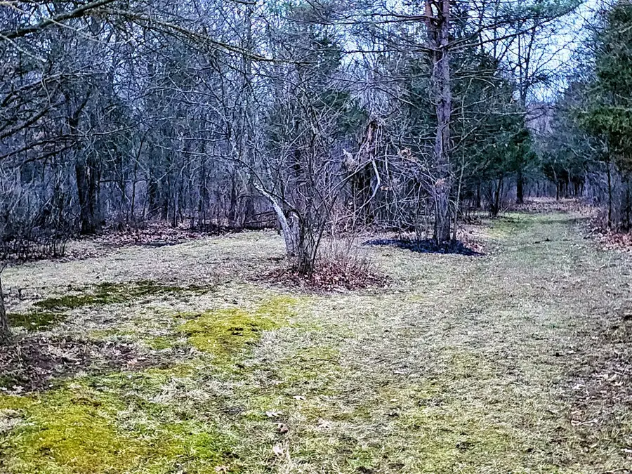 193 Ellis, Battle Creek, MI 49037 - #3
