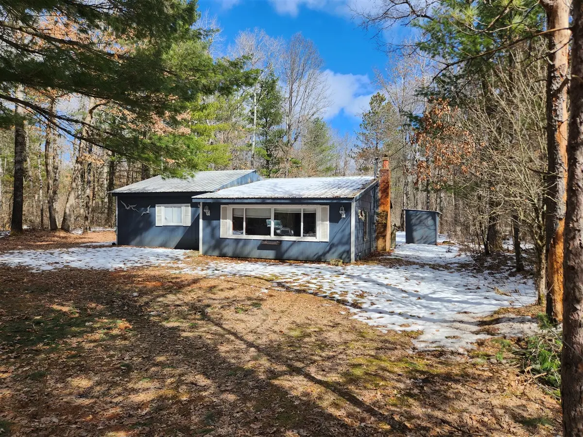5247 N Access, Irons, MI 49644 - #1