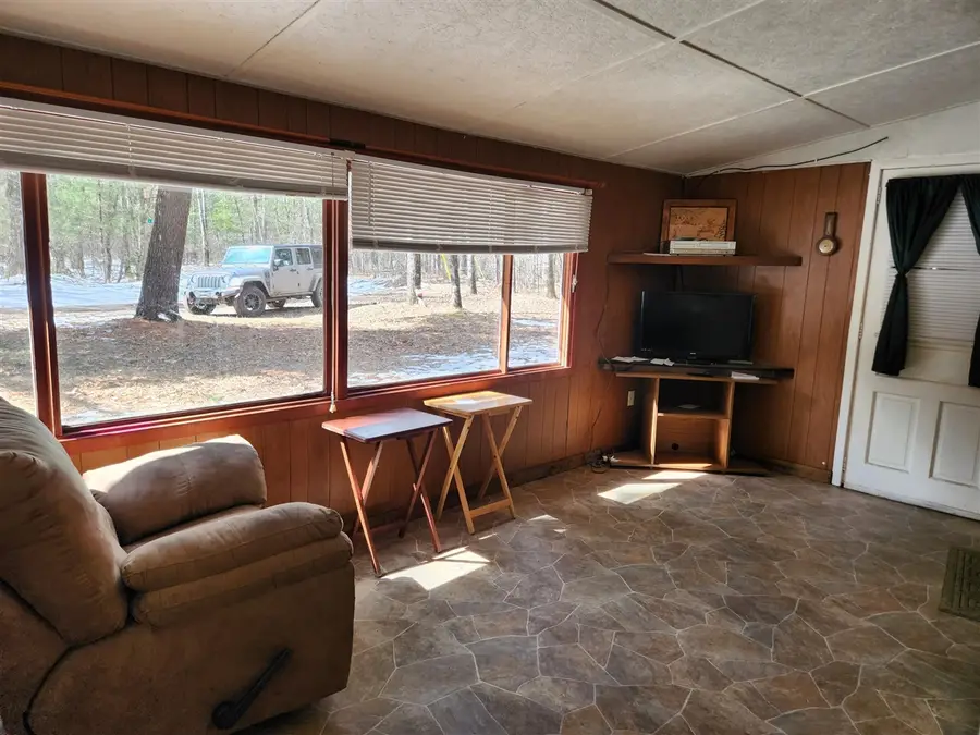 5247 N Access, Irons, MI 49644 - #3