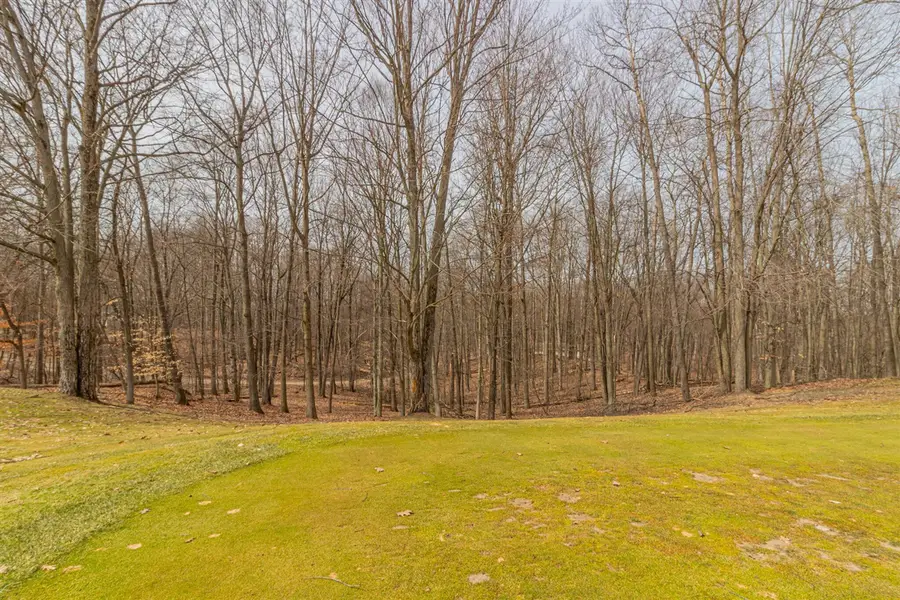 9656 S Calgary, Canadian Lakes, MI 49346 - #3