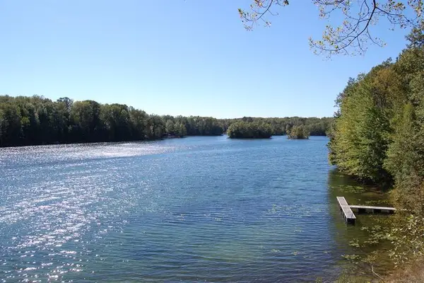 8986 N Royal, Canadian Lakes, MI 49346