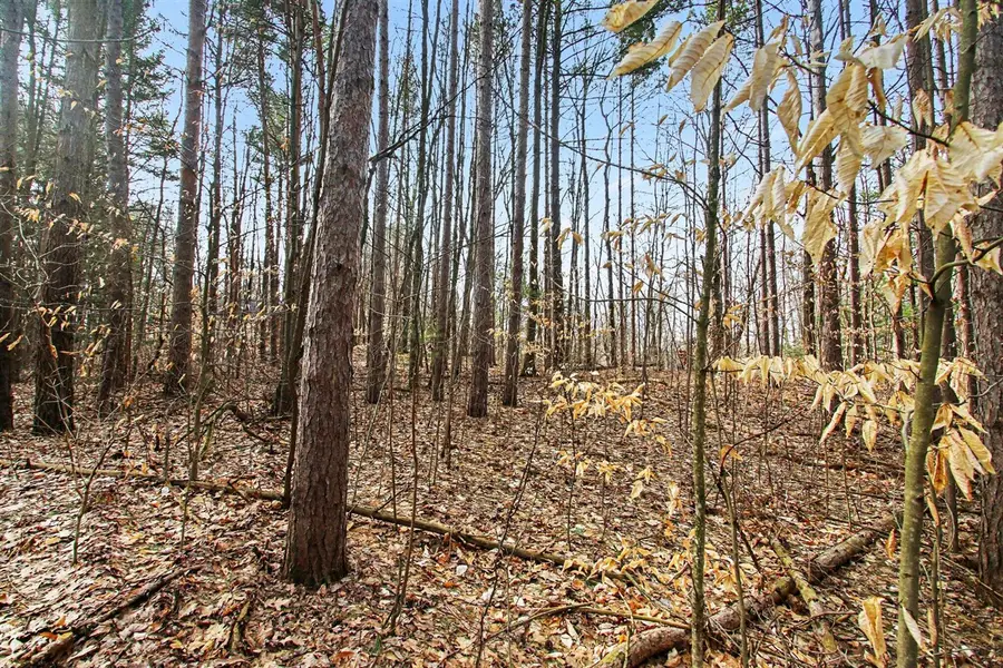 5818 Hunters, Fennville, MI 49408 - #2