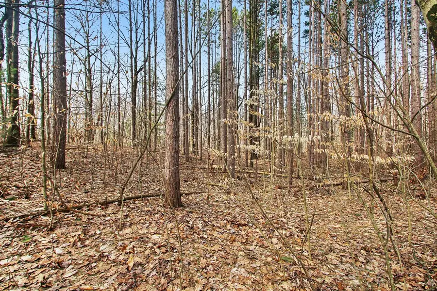 5818 Hunters, Fennville, MI 49408 - #3