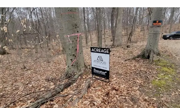 8572 Anchor, Delton, MI 49046