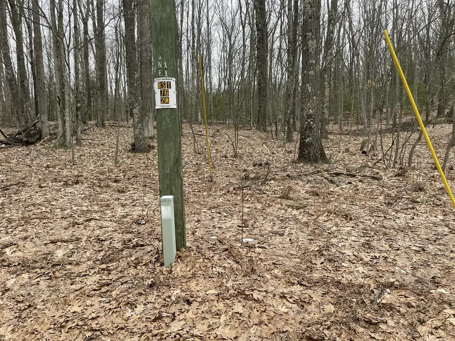 V/L W Deer Track, Irons, MI 49644 - #3