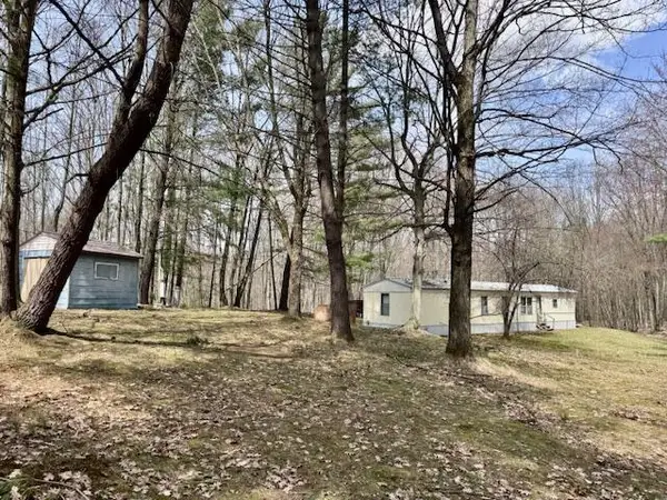 40+/- Acres 48th, Chase, MI 49623