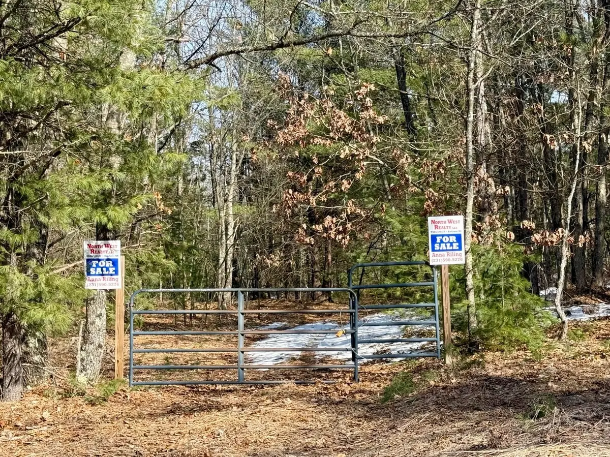 VL N Merrillville, Baldwin, MI 49304 - #1