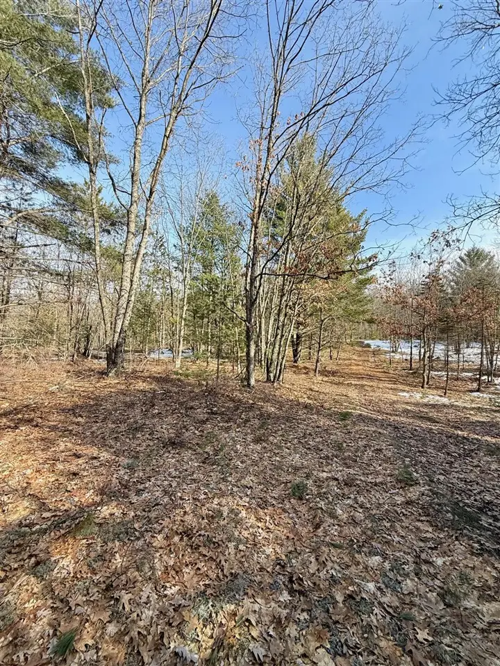 VL N Merrillville, Baldwin, MI 49304 - #2