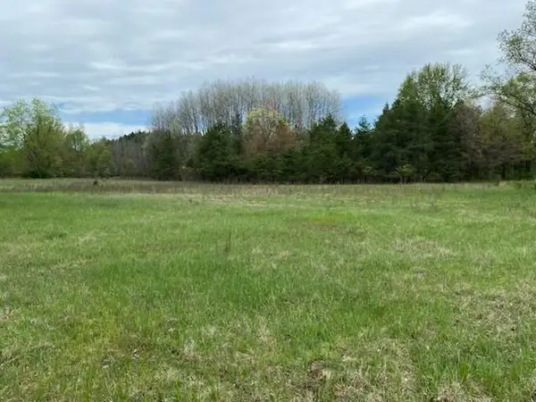 3878 E 2 Mile, White Cloud, MI 49349