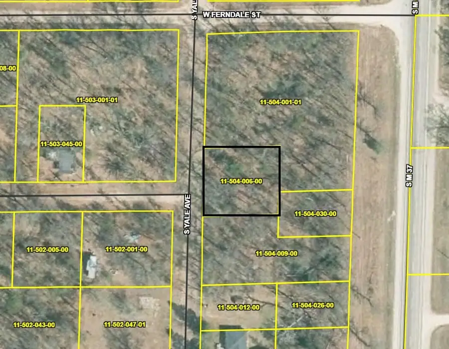 VL Yale, Baldwin, MI 49304 - #2