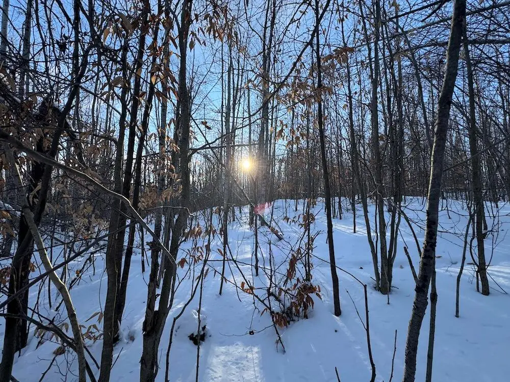 80 acres Galbrith, Mio, MI 48647 - #1