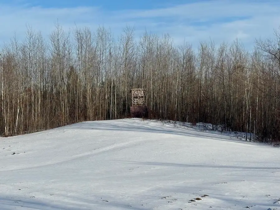 80 acres Galbrith, Mio, MI 48647 - #2