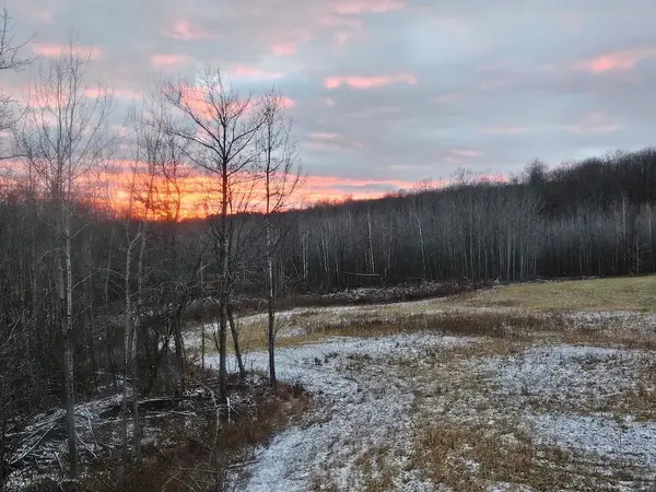 72 acres W Miller, Mio, MI 48647