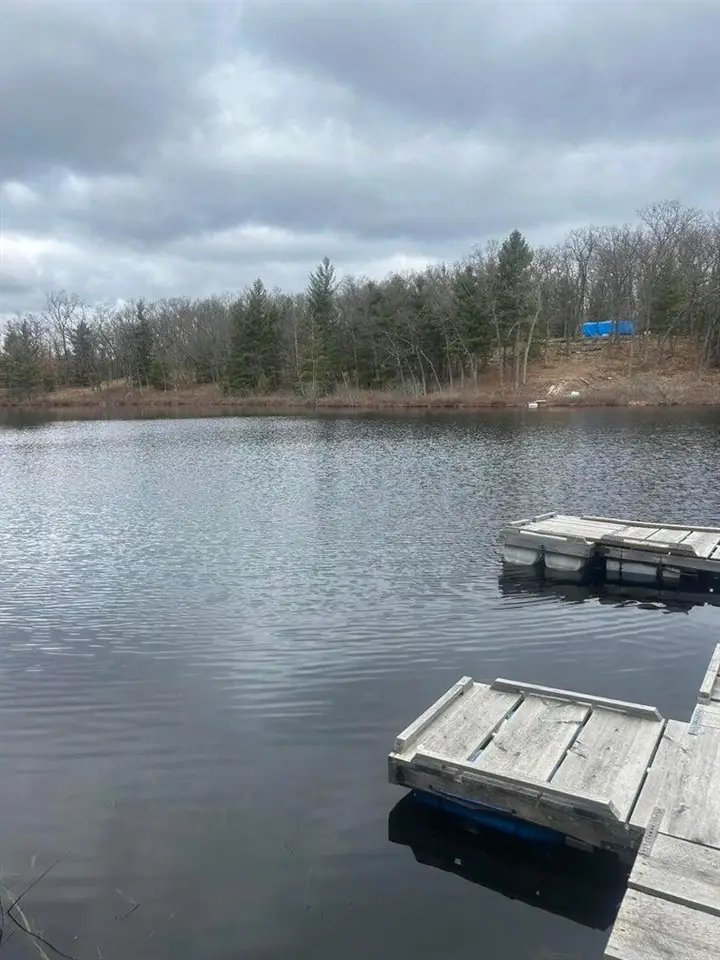 00 Perch Lake, Bitely, MI 49309 - #3