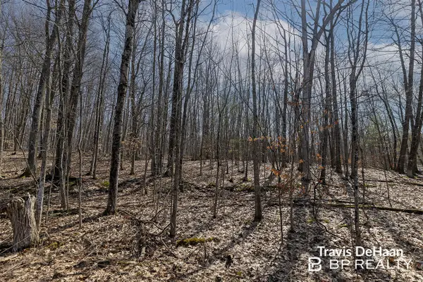 9310 S Benjamin, Newaygo, MI 49337