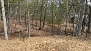 0 Mohawk, Pentwater, MI 49449 - #2