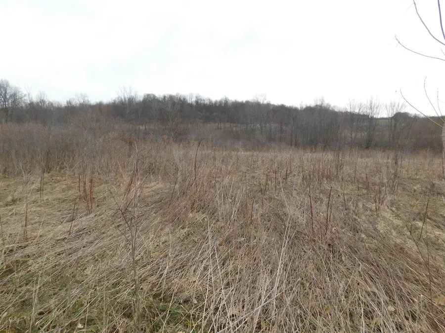 Cox, Bellevue, MI 49021 - #2
