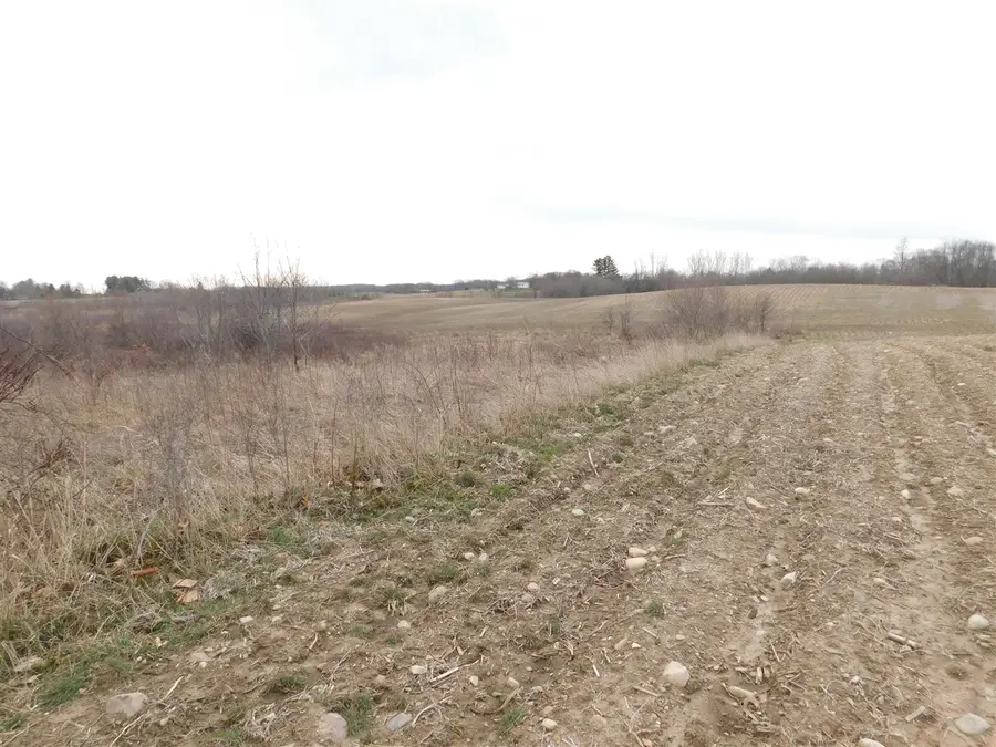 Cox, Bellevue, MI 49021 - #3